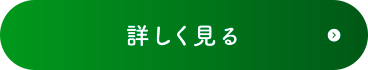 詳しく見る